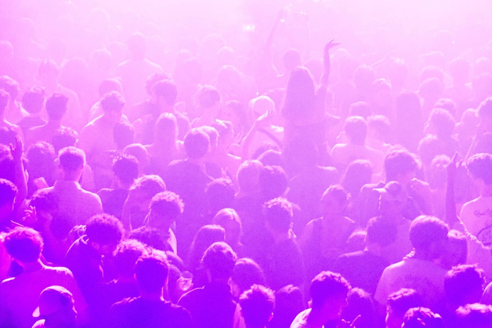 Cómo es Nitsa: la noche electrónica de Sala Apolo