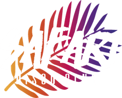 Safari Disco Club